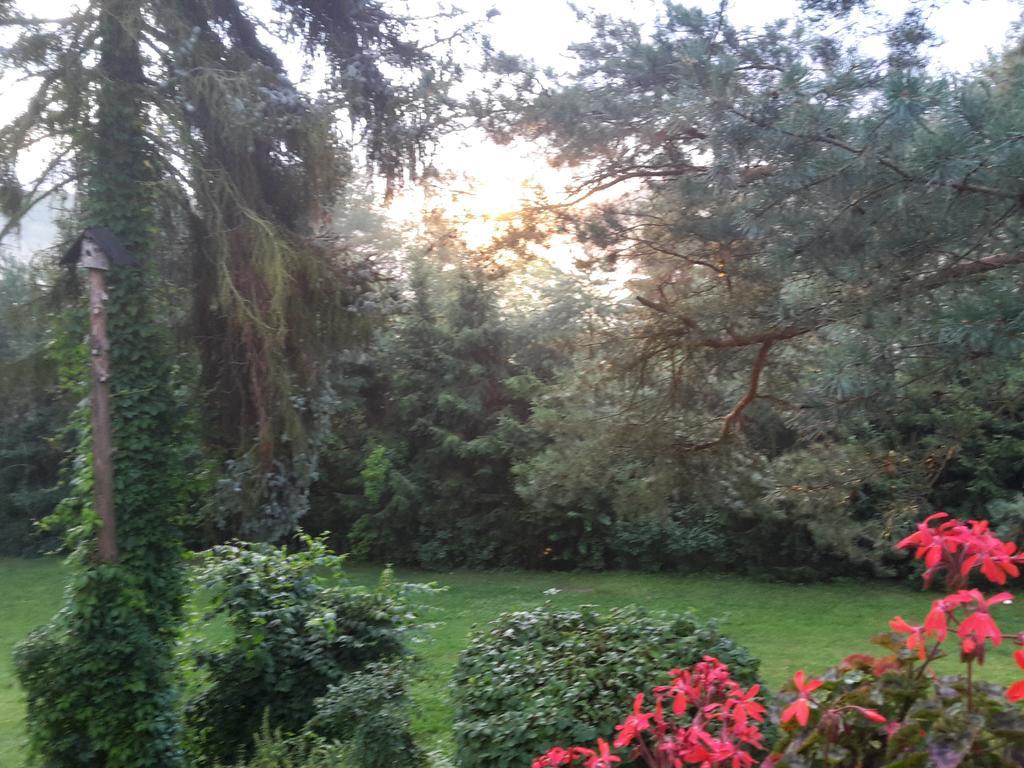 Villa Blanka Horní Podkozí Екстериор снимка