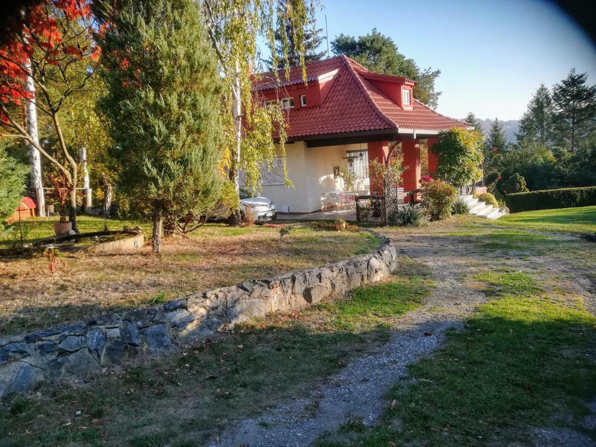 Villa Blanka Horní Podkozí Екстериор снимка